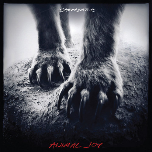 Pochette de l'album "Animal Joy" de Shearwater