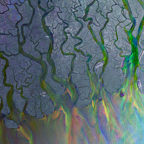 Pochette de l'album "An Awesome Wave" d'Alt-J