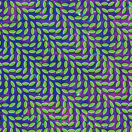 Pochette de l'album "Merriweather Post Pavilion" d'Animal Collective