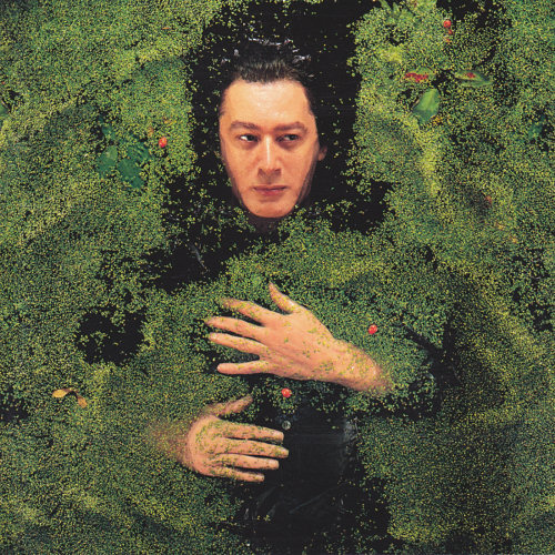 Pochette de l'album "Fantaisie militaire" d'Alain Bashung