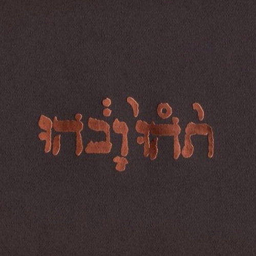 Pochette de l'album "Slow Riot For New Zero Kanada" de Godspeed You! Black Emperor