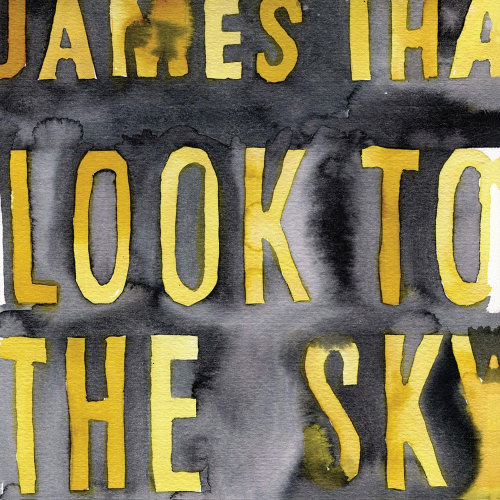 Pochette de l'album "Look To The Sky" de James Iha