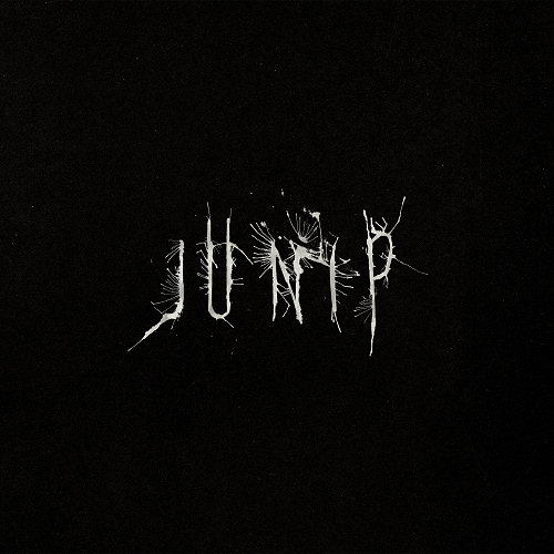 Pochette de l'album "Junip" de Junip