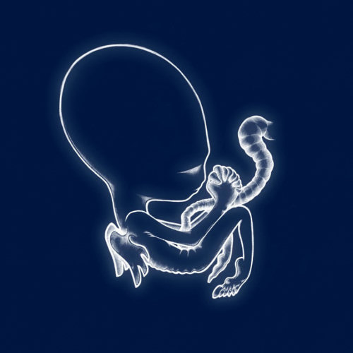 Pochette de l'album "Ágætis Byrjun" deSigur Rós