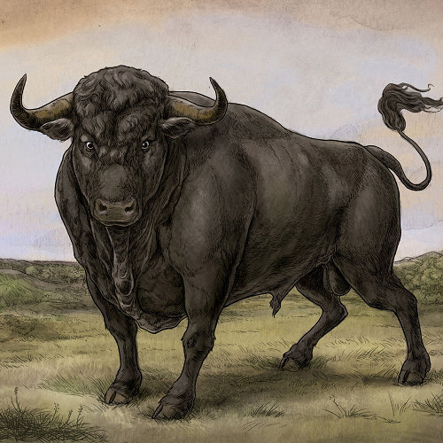 Pochette de l'album "San Fermin" de San Fermin