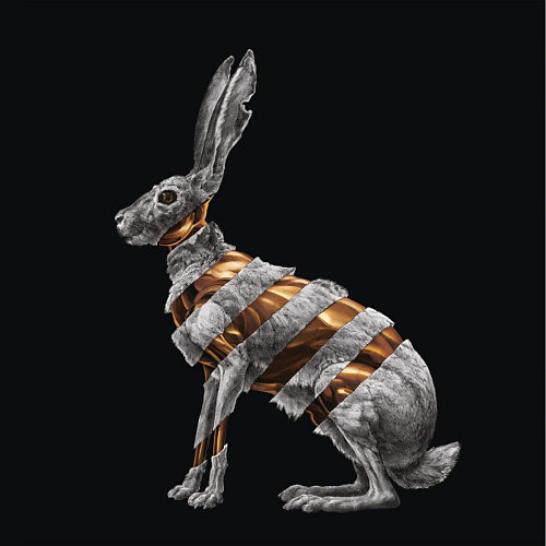 Pochette de l'album "Jackrabbit" de San Fermin