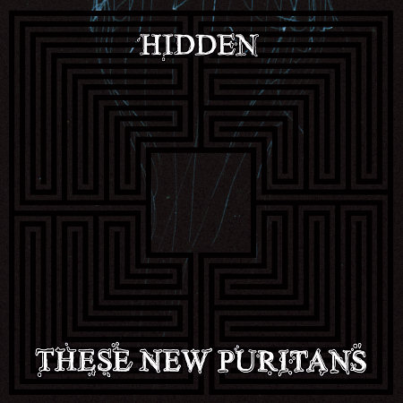 Pochette de l'album "Hidden" desThese New Puritans