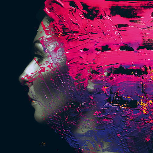 Pochette de l'album "Hand. Cannot. Erase." de Steven Wilson