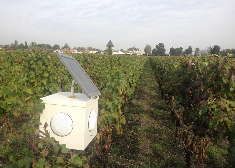 Le boîtier de quatre hauts parleurs de Genodics dans une vigne.